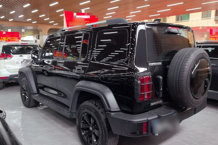 坦克300 2024款 2.0T 征服者车身外观6005