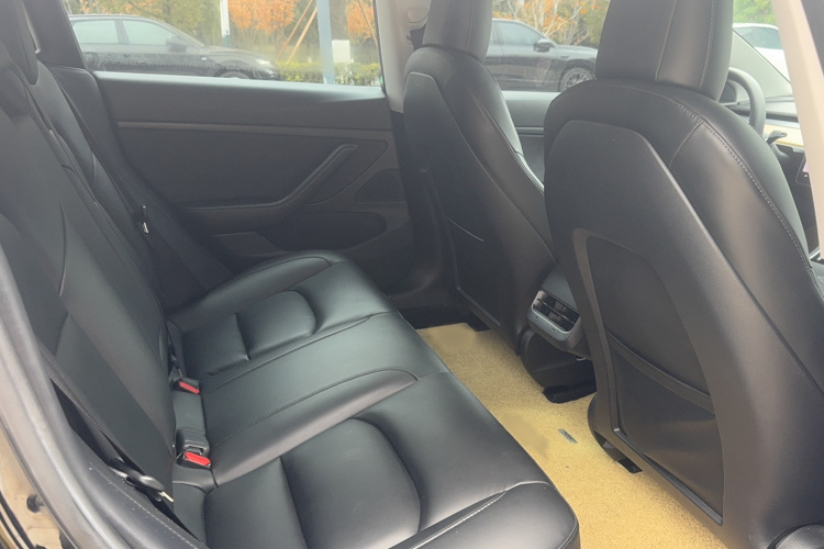 特斯拉 Model 3 2020款 长续航后轮驱动版中控内饰7003