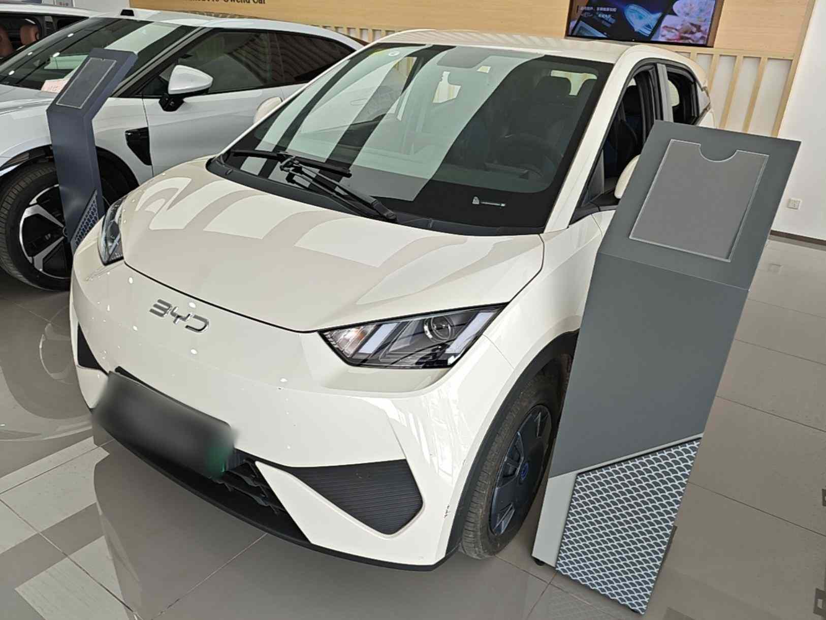 比亚迪 海鸥 2025款 智驾版 305km 活力版(2)