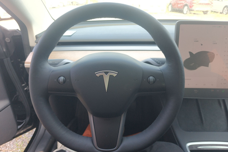 特斯拉 Model 3 2021款 标准续航后驱升级版 3D6局部细节13