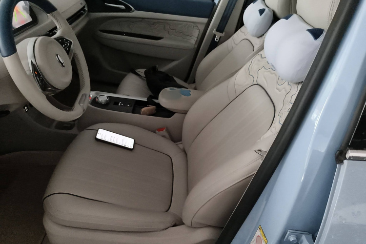 欧拉好猫 2022款 莫兰迪版 400km标准续航 豪华型 磷酸铁锂局部细节19