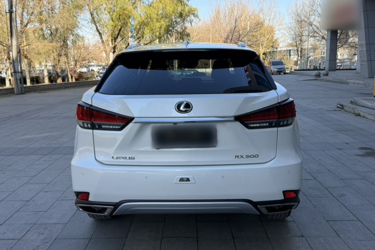 雷克萨斯RX 2020款 300 四驱典雅版 国VI车身外观6002