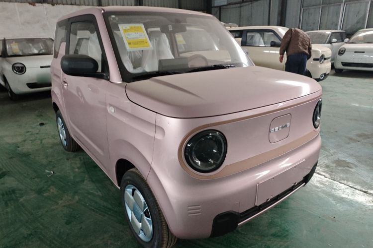 吉利银河 2024款 熊猫mini 200km 耐力熊车身外观3