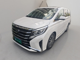 广汽传祺 传祺M8 2021款 领秀系列 390T 至尊版