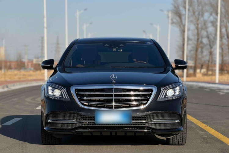 奔驰S级 2019款 S 350 L 豪华型 臻藏版车身外观6007
