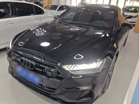 奥迪A7L 2024款 45 TFSI quattro S-line 黑武士版