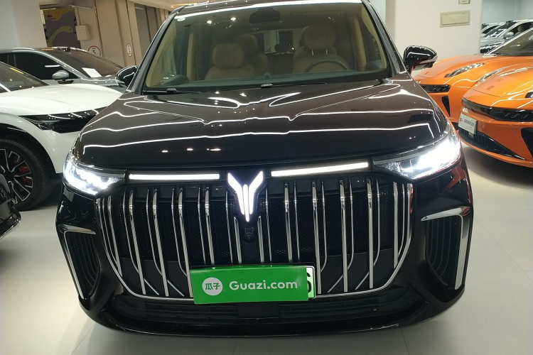 岚图汽车 岚图梦想家 2024款 PHEV 超长续航卓越版车身外观2