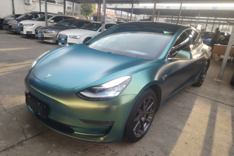特斯拉 Model 3(进口) 2019款 长续航后驱版