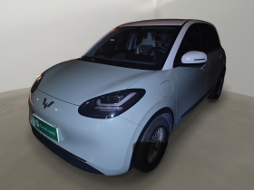 五菱汽车 五菱缤果 2024款 333km 悦享款