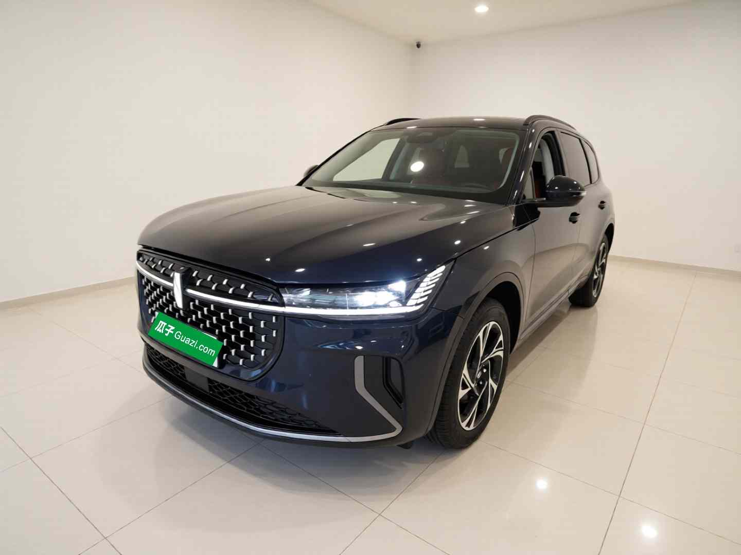 林肯 航海家 2025款 改款 2.0T 四驱尊逸混动版(2)