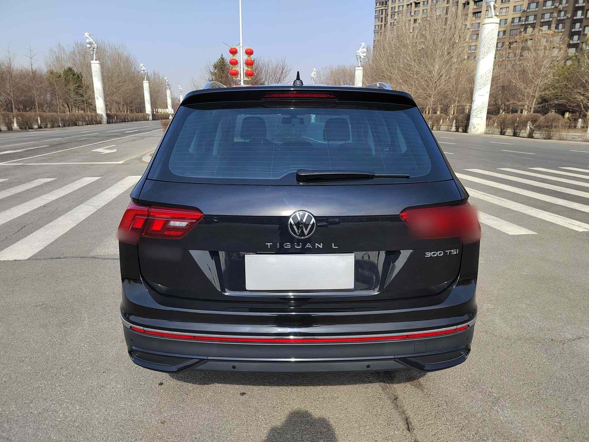 大众 途观L 2024款 300TSI 自动两驱智享版(5)