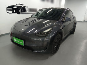 特斯拉 Model Y 2021款 长续航全轮驱动版 3D7