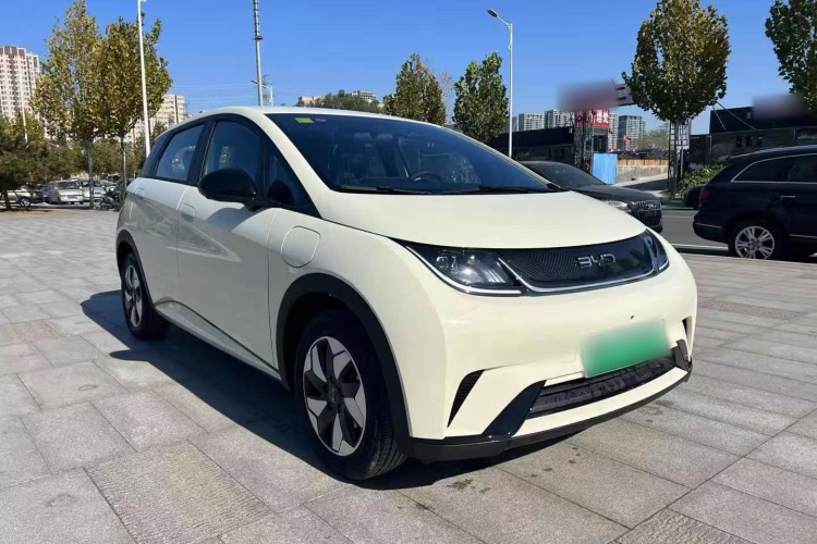 比亚迪 海豚 2025款 420km 自由版车身外观6002