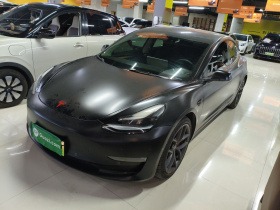特斯拉 Model 3 2021款 改款二 Performance高性能全轮驱动版