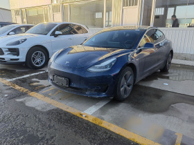 特斯拉 Model 3 2019款 标准续航后驱升级版