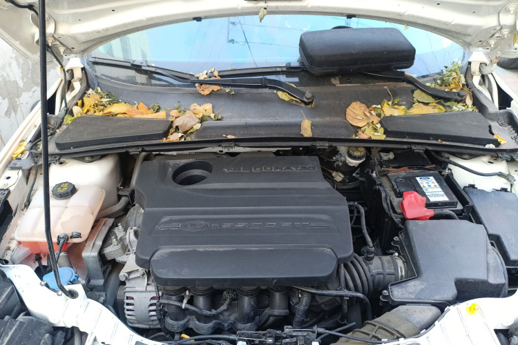 福特 福睿斯 2015款 1.5L 手动时尚型局部细节24