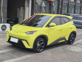 比亚迪 海鸥 2023款 自由版