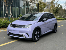 比亚迪 海豚 2024款 荣耀版 420km 时尚版