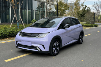 比亚迪 海豚 2024款 荣耀版 420km 时尚版