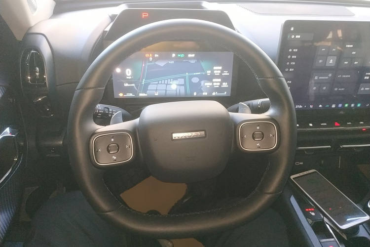 哈弗大狗 PLUS 2026款 2.0T 四驱潮野版局部细节13