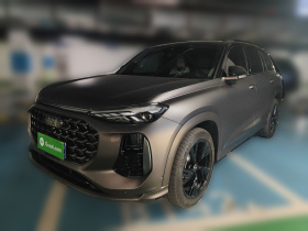 奥迪Q6 2023款 50 TFSI quattro 凌云版 edition one