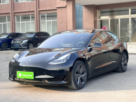 特斯拉 Model 3 2020款 标准续航后驱升级版