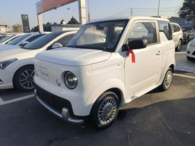 睿蓝汽车 睿蓝蓝气球 2025款 活力版