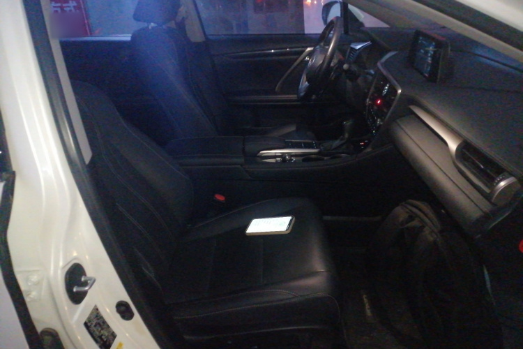 雷克萨斯RX 2020款 300 四驱典雅版 国VI局部细节41