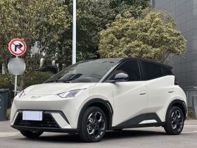 比亚迪 海鸥 2024款 荣耀版 305km 自由版