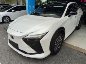 雷克萨斯RZ 2023款 450e 四驱纵享版