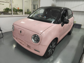 欧拉黑猫 2019款 351km 亲子版