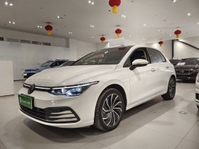 大众 高尔夫 2021款 280TSI DSG Pro