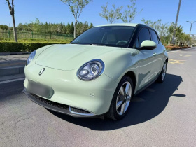 欧拉好猫 2023款 401km标准续航 豪华型 磷酸铁锂