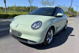 欧拉好猫 2023款 401km标准续航 豪华型 磷酸铁锂