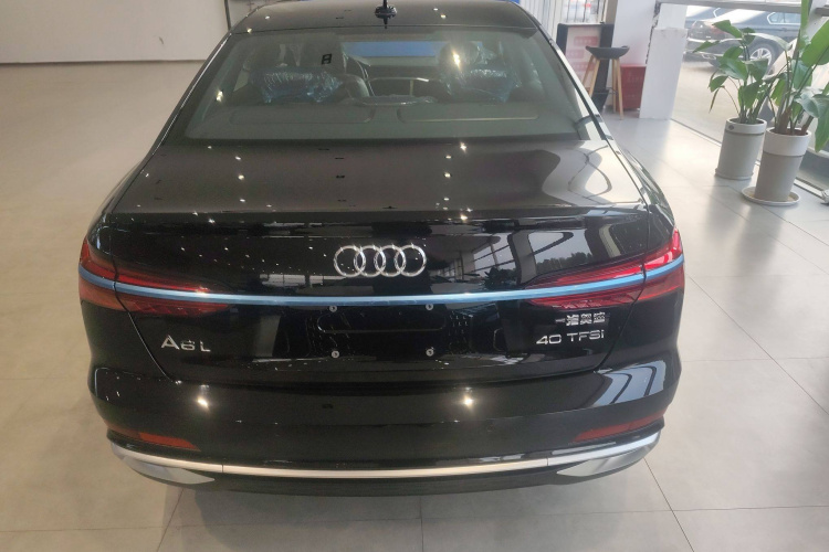 奥迪A6L 2025款 40 TFSI 豪华动感型车身外观6004