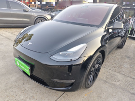 特斯拉 Model Y 2021款 标准续航后驱版