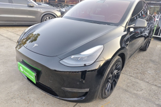 特斯拉 Model Y 2021款 标准续航后驱版
