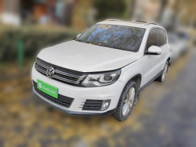 大众 途观 2013款 2.0TSI 自动四驱旗舰版