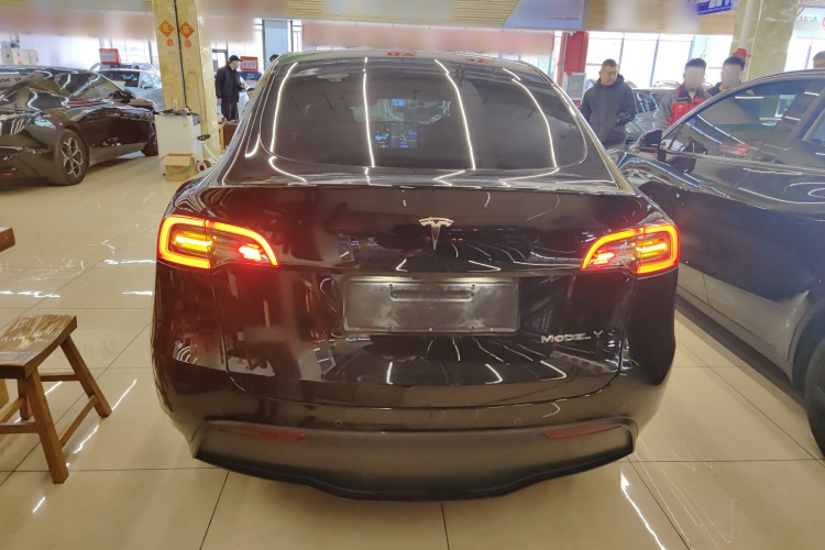 特斯拉 Model Y 2021款 标准续航后驱版车身外观6