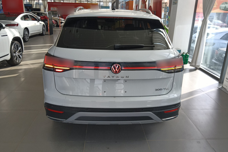 大众 探岳 2023款 300TSI 两驱豪华Plus进阶版车身外观6