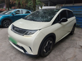 比亚迪 海豚 2021款 405km 时尚版