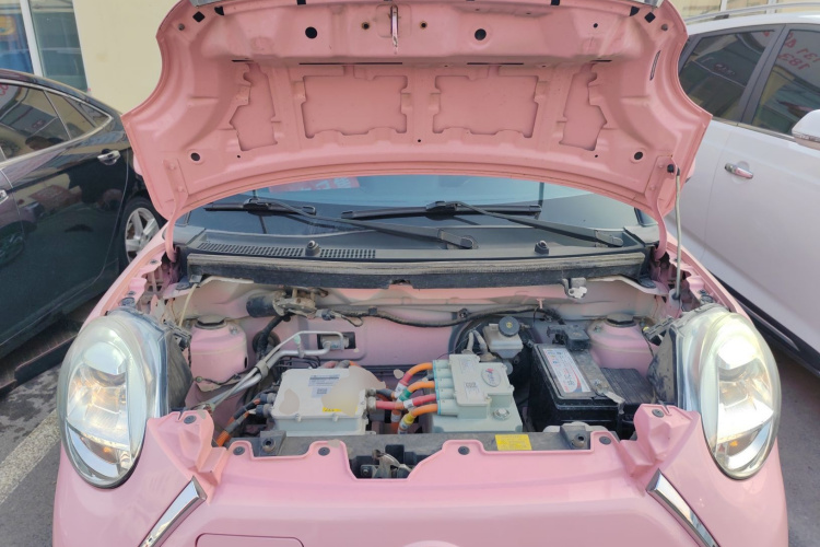 凌宝汽车 凌宝BOX 2021款 粉红世家 舒适版机舱底盘24