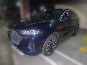 魏牌 摩卡 2021款 2.0T 两驱特醇版