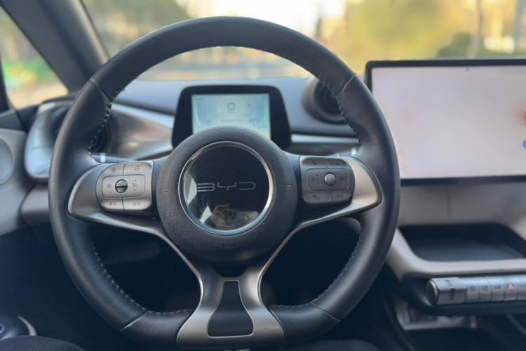 比亚迪 海豚 2021款 405km 时尚版中控内饰7003