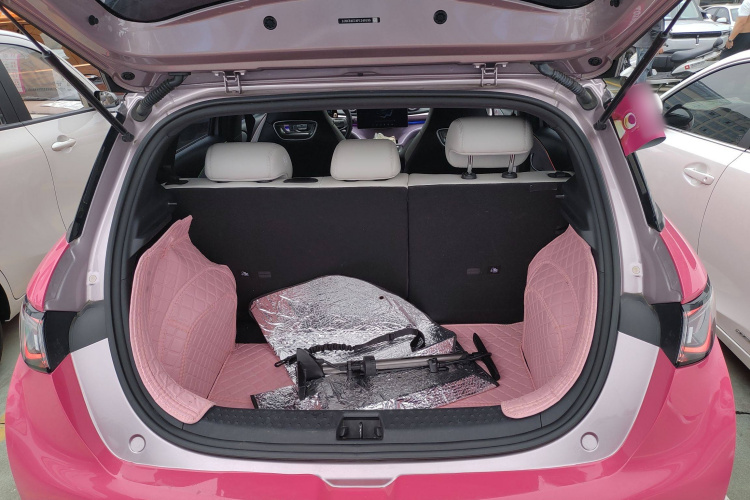 比亚迪 海豚 2023款 420km 时尚版局部细节23