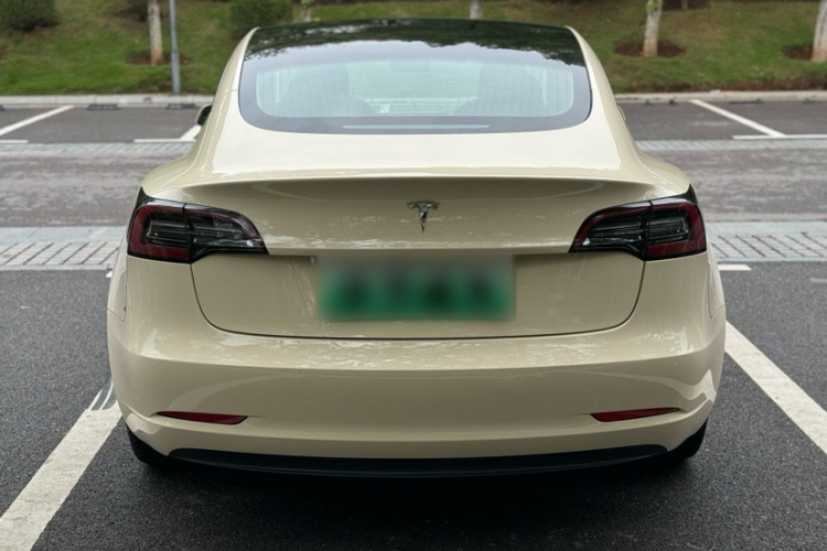 特斯拉 Model 3 2019款 标准续航后驱升级版车身外观6001