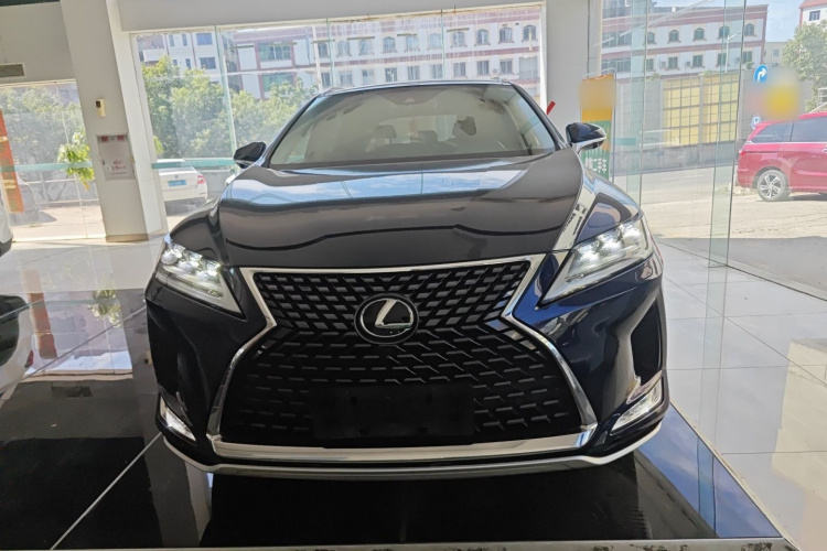 雷克萨斯RX 2020款 改款 300 四驱典雅版车身外观6001