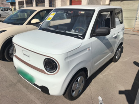 吉利银河 2024款 熊猫mini 200km 耐力熊