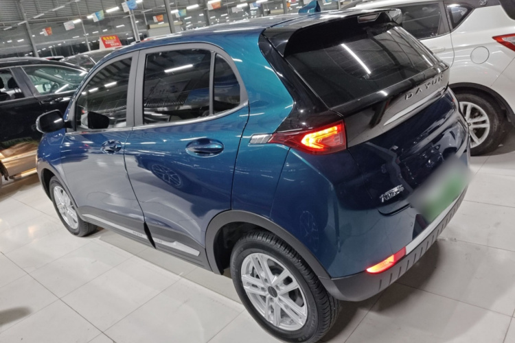 大运 悦虎 2023款 300 标准版车身外观4