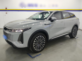 星途 瑶光C-DM 2024款 1.5T 长续航Pro